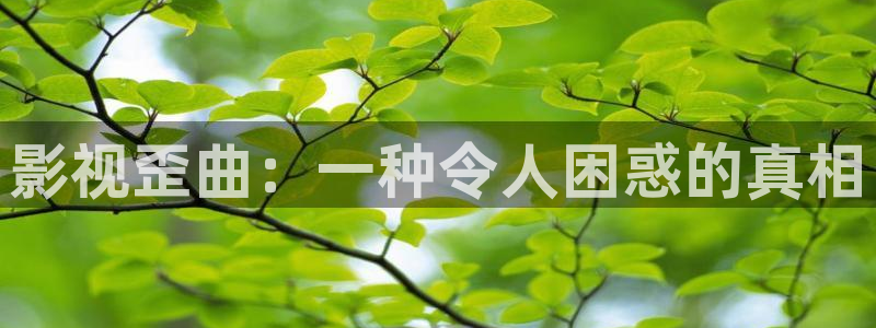 姐姐的朋友酷客影院